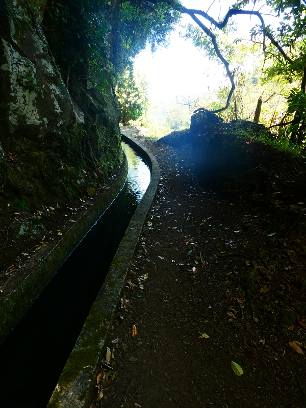 8 July 2018 Circular walk via the Levada do Moinho da Serra, Cascata Madre de Agua, Levada dos Tornos and Levada Nova de Santa Cruz — On the Levada Nova as far as the 1st large water divider — photo 4