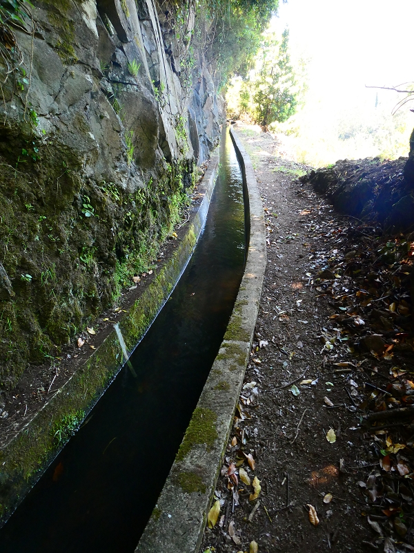 8 July 2018 Circular walk via the Levada do Moinho da Serra, Cascata Madre de Agua, Levada dos Tornos and Levada Nova de Santa Cruz — On the Levada Nova as far as the 1st large water divider — photo 5