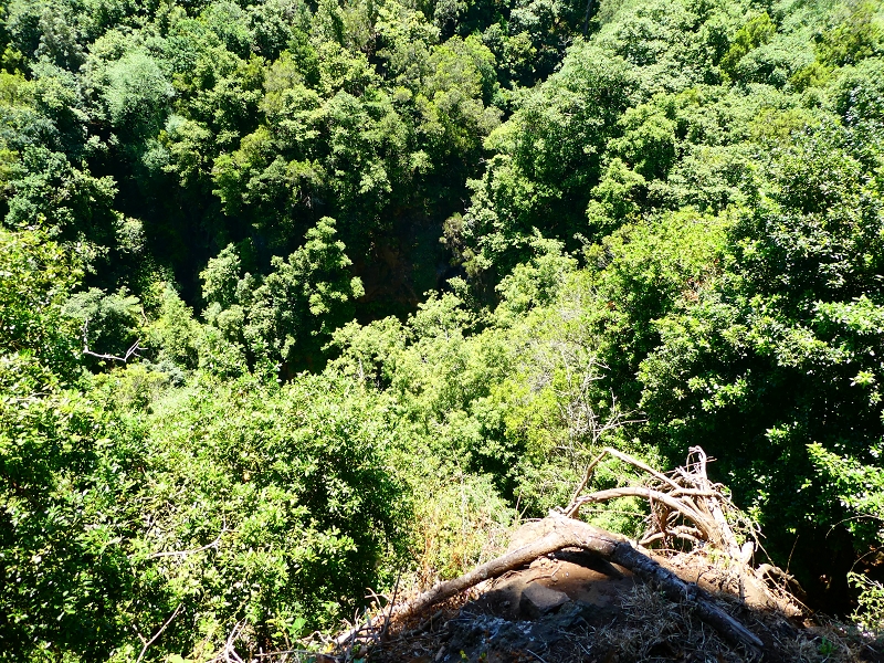 8 July 2018 Circular walk via the Levada do Moinho da Serra, Cascata Madre de Agua, Levada dos Tornos and Levada Nova de Santa Cruz — On the Levada Nova as far as the 1st large water divider — photo 6