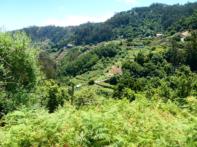 8 July 2018 Circular walk via the Levada do Moinho da Serra, Cascata Madre de Agua, Levada dos Tornos and Levada Nova de Santa Cruz — On the Levada Nova as far as the 1st large water divider — photo 7