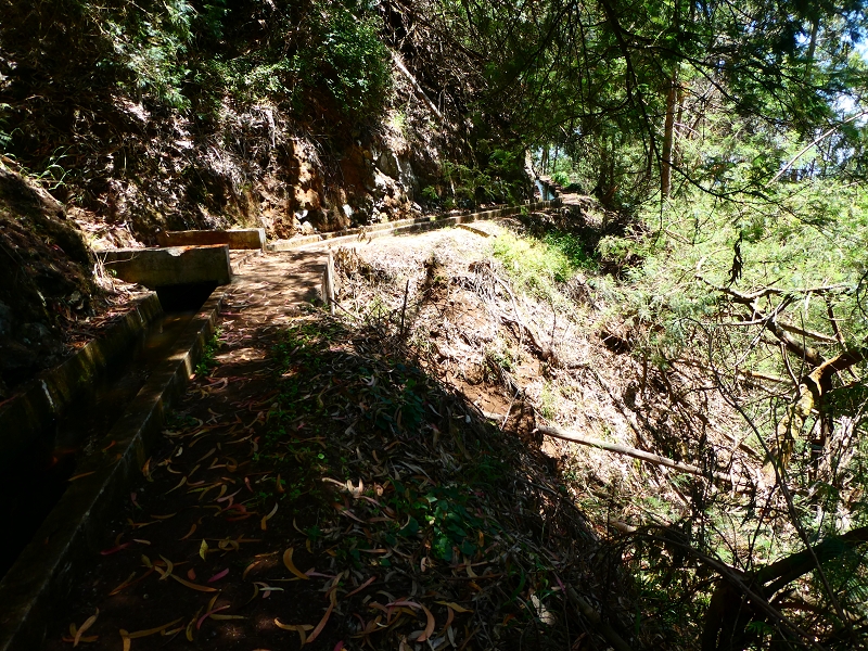 8 July 2018 Circular walk via the Levada do Moinho da Serra, Cascata Madre de Agua, Levada dos Tornos and Levada Nova de Santa Cruz — On the Levada Nova as far as the 1st large water divider — photo 8
