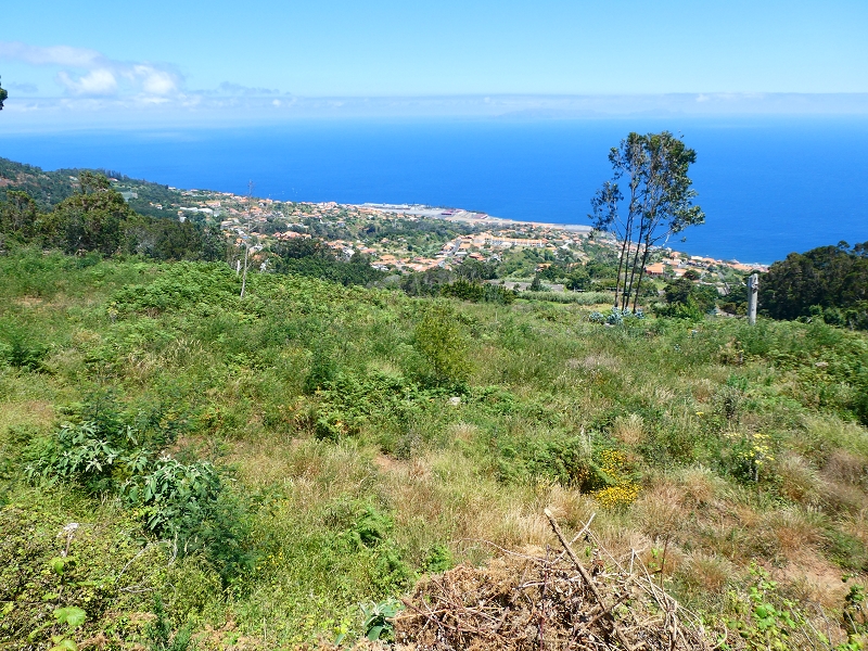 8 July 2018 Circular walk via the Levada do Moinho da Serra, Cascata Madre de Agua, Levada dos Tornos and Levada Nova de Santa Cruz — Into the large ravine of the Ribeira do Moreno — photo 1