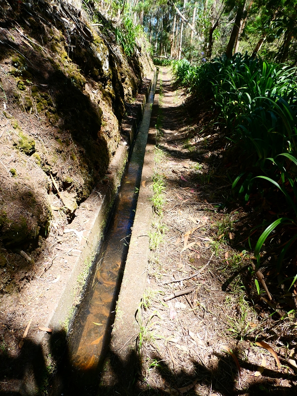 Levada Nova — Tiefe Einschnitte ins Tal der Ribeira do Moreno — Foto 1