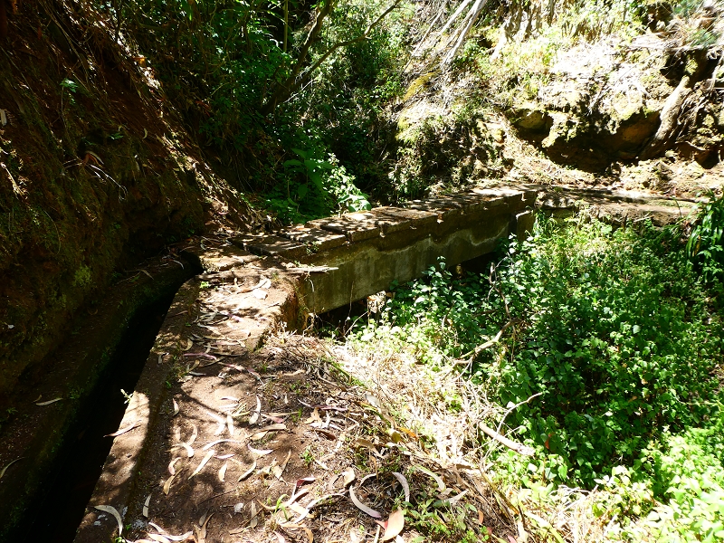 Levada Nova — Tiefe Einschnitte ins Tal der Ribeira do Moreno — Foto 2