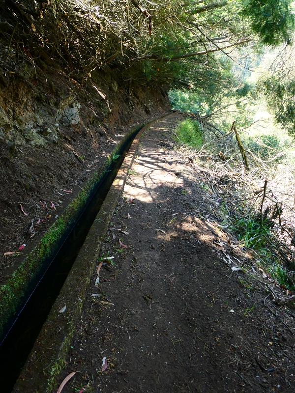 Levada Nova — Tiefe Einschnitte ins Tal der Ribeira do Moreno — Foto 3