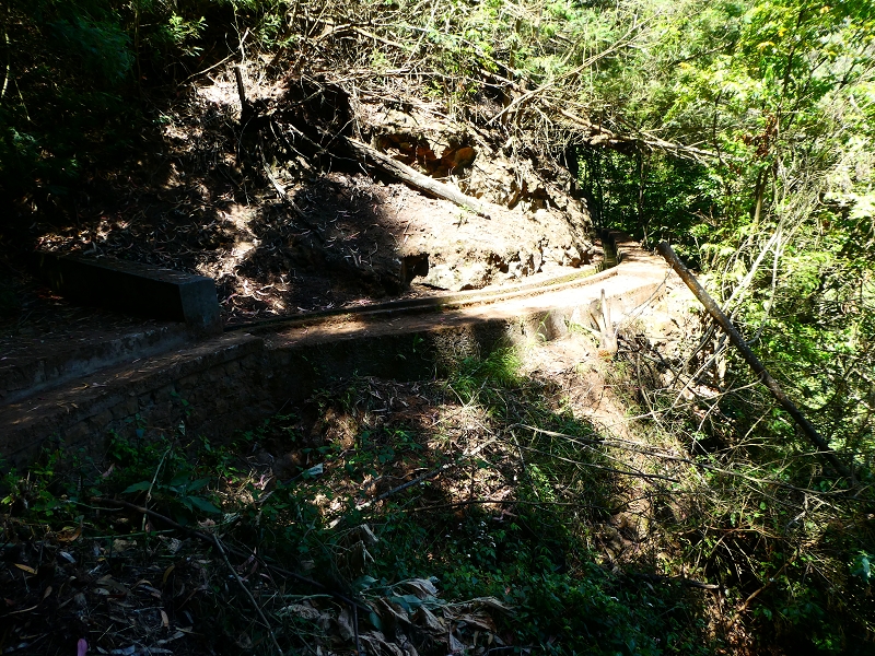 Levada Nova — Tiefe Einschnitte ins Tal der Ribeira do Moreno — Foto 4