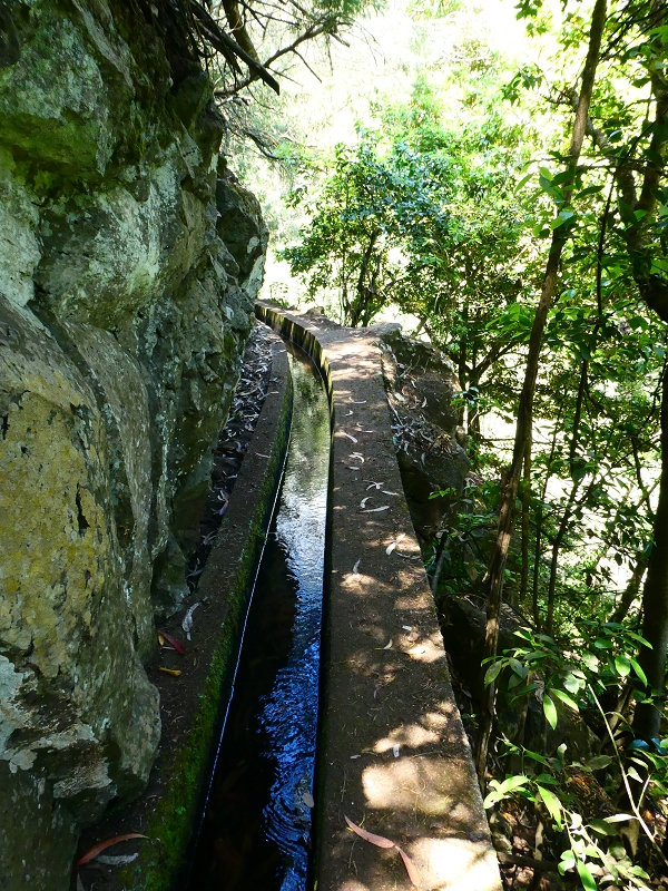 Levada Nova — Tiefe Einschnitte ins Tal der Ribeira do Moreno — Foto 5