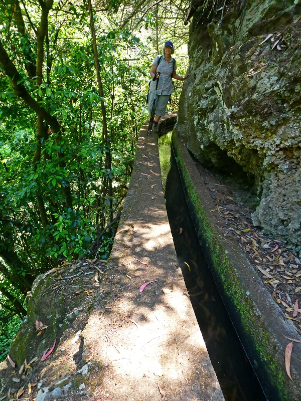 Levada Nova — Tiefe Einschnitte ins Tal der Ribeira do Moreno — Foto 6