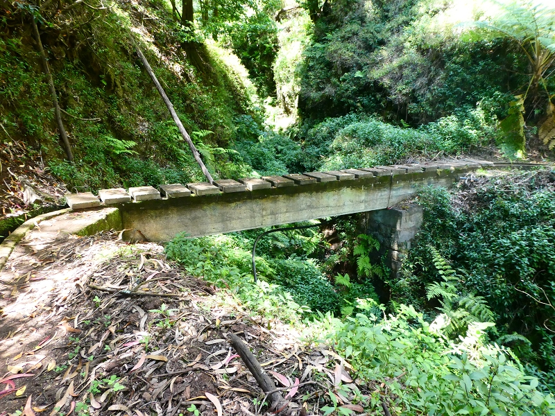 Levada Nova — Tiefe Einschnitte ins Tal der Ribeira do Moreno — Foto 7