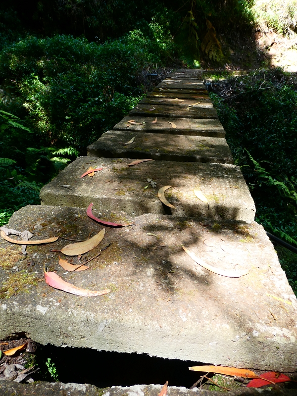 8 July 2018 Circular walk via the Levada do Moinho da Serra, Cascata Madre de Agua, Levada dos Tornos and Levada Nova de Santa Cruz — Into the large ravine of the Ribeira do Moreno — photo 9