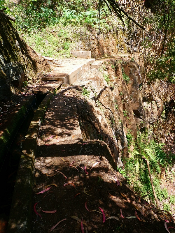 8 July 2018 Circular walk via the Levada do Moinho da Serra, Cascata Madre de Agua, Levada dos Tornos and Levada Nova de Santa Cruz — Into the large ravine of the Ribeira do Moreno — photo 10