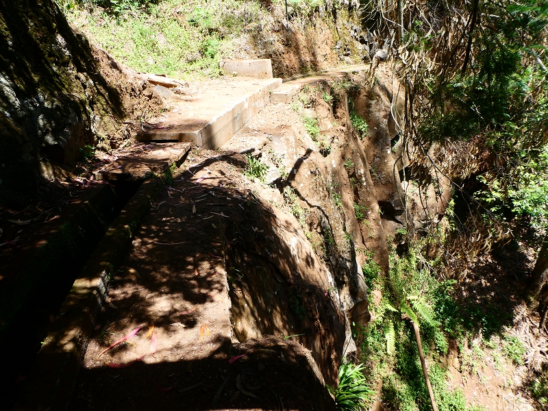 8 July 2018 Circular walk via the Levada do Moinho da Serra, Cascata Madre de Agua, Levada dos Tornos and Levada Nova de Santa Cruz — Into the large ravine of the Ribeira do Moreno — photo 11