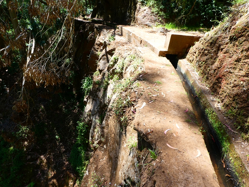 Levada Nova — Tiefe Einschnitte ins Tal der Ribeira do Moreno — Foto 8
