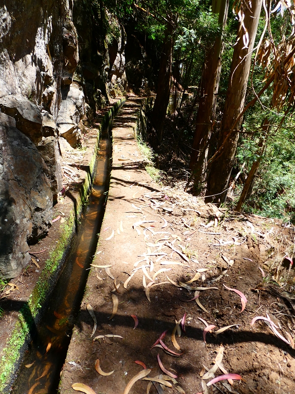 Levada Nova — Tiefe Einschnitte ins Tal der Ribeira do Moreno — Foto 9