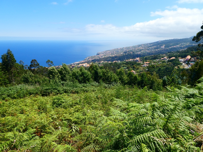 8 July 2018 Circular walk via the Levada do Moinho da Serra, Cascata Madre de Agua, Levada dos Tornos and Levada Nova de Santa Cruz — Into the large ravine of the Ribeira do Moreno — photo 15