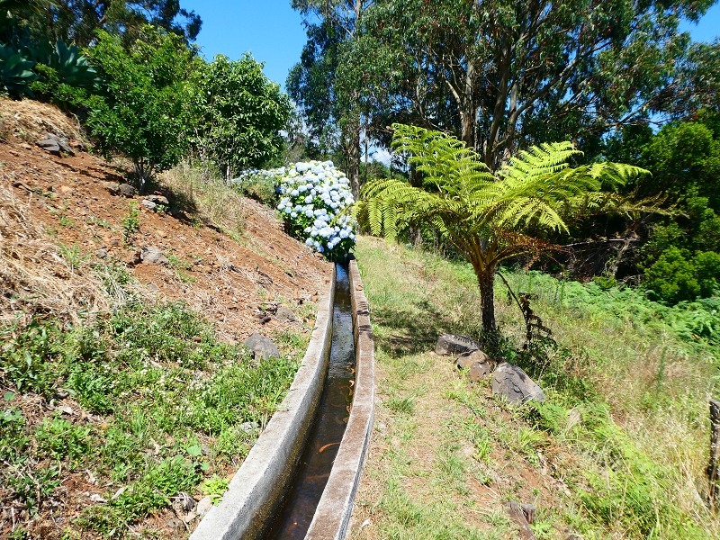 8 July 2018 Circular walk via the Levada do Moinho da Serra, Cascata Madre de Agua, Levada dos Tornos and Levada Nova de Santa Cruz — Into the large ravine of the Ribeira do Moreno — photo 16