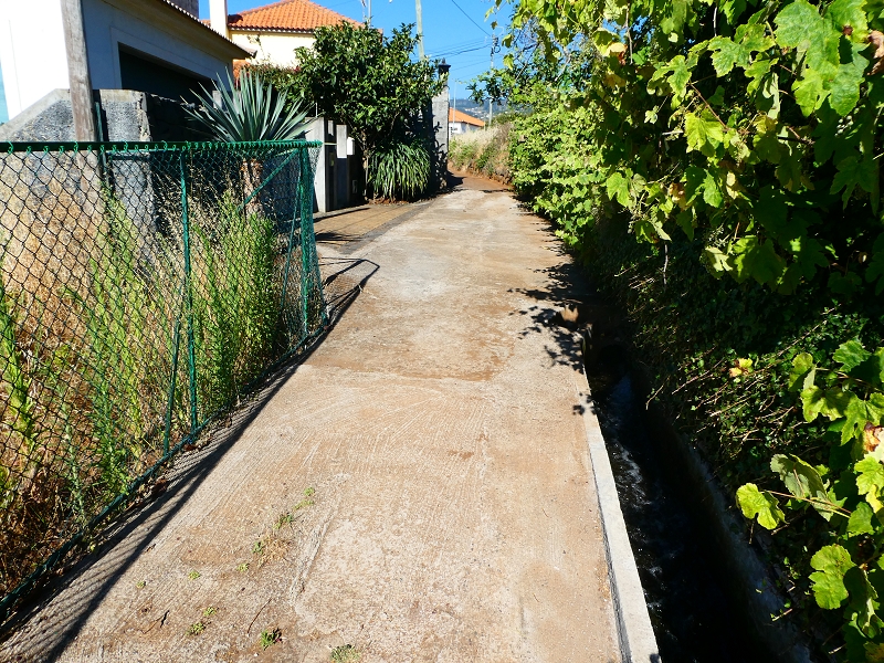 8 July 2018 Circular walk via the Levada do Moinho da Serra, Cascata Madre de Agua, Levada dos Tornos and Levada Nova de Santa Cruz — As far as the next watermill — photo 2