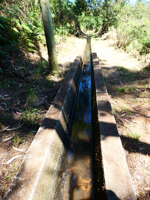 8 July 2018 Circular walk via the Levada do Moinho da Serra, Cascata Madre de Agua, Levada dos Tornos and Levada Nova de Santa Cruz — Into the large ravine of the Ribeira do Moreno — photo 18