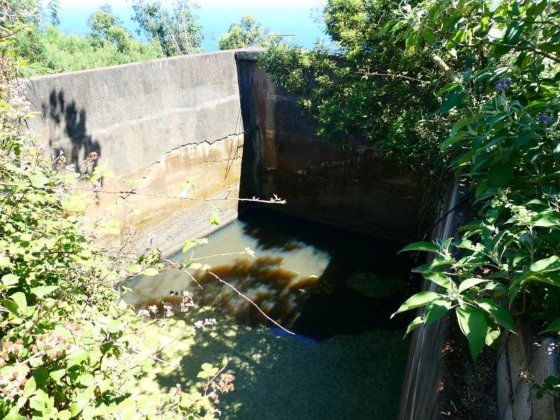 8 July 2018 Circular walk via the Levada do Moinho da Serra, Cascata Madre de Agua, Levada dos Tornos and Levada Nova de Santa Cruz — Into the large ravine of the Ribeira do Moreno — photo 19