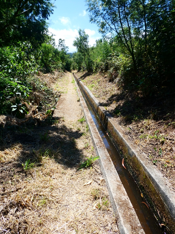 8 July 2018 Circular walk via the Levada do Moinho da Serra, Cascata Madre de Agua, Levada dos Tornos and Levada Nova de Santa Cruz — Into the large ravine of the Ribeira do Moreno — photo 20