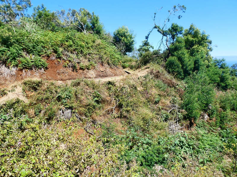 8 July 2018 Circular walk via the Levada do Moinho da Serra, Cascata Madre de Agua, Levada dos Tornos and Levada Nova de Santa Cruz — Into the large ravine of the Ribeira do Moreno — photo 21