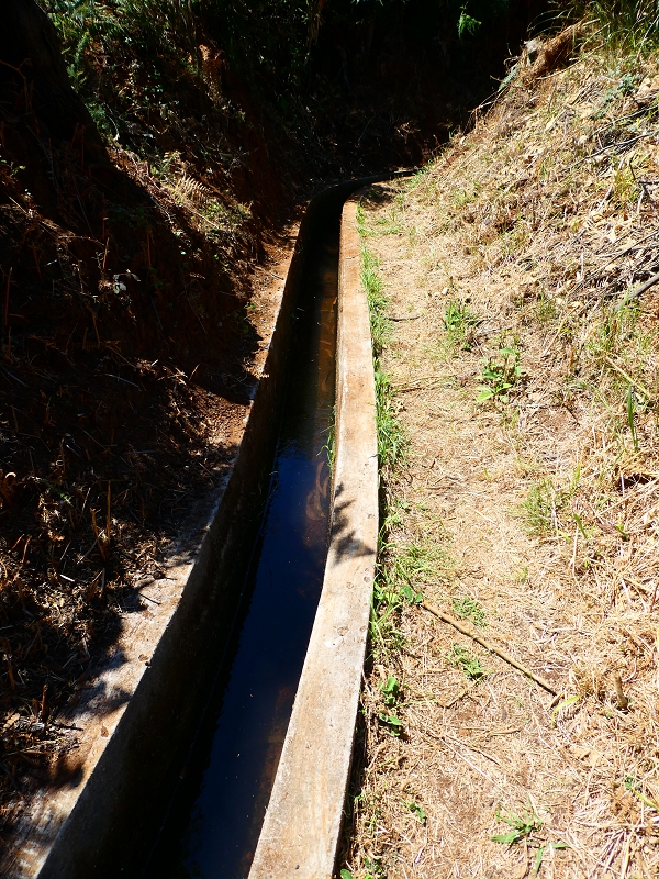 8 July 2018 Circular walk via the Levada do Moinho da Serra, Cascata Madre de Agua, Levada dos Tornos and Levada Nova de Santa Cruz — Into the large ravine of the Ribeira do Moreno — photo 22