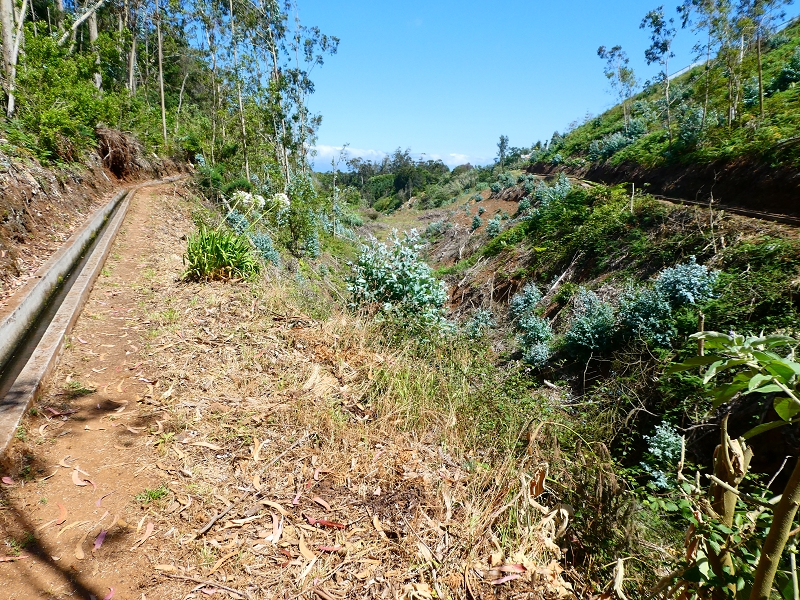 Levada Nova — Bacheinschnitte ins die Täler des Ribeiro Seco und der Ribeira do Lugarinho — Foto 3