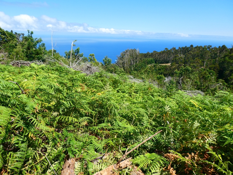 Levada Nova — Bacheinschnitte ins die Täler des Ribeiro Seco und der Ribeira do Lugarinho — Foto 4