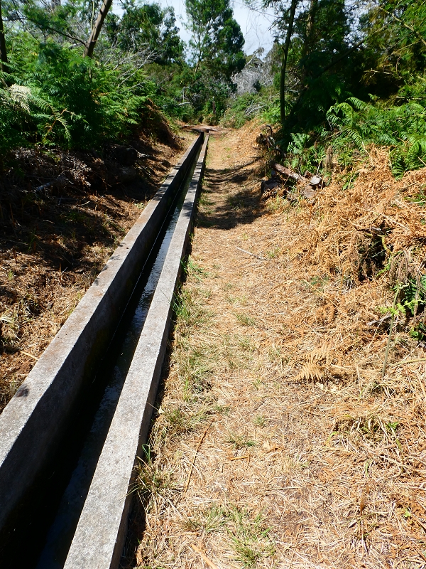 Levada Nova — Bacheinschnitte ins die Täler des Ribeiro Seco und der Ribeira do Lugarinho — Foto 5