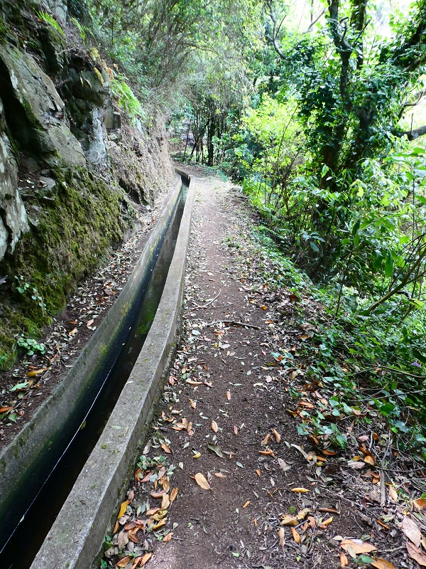 Levada Nova — Bacheinschnitte ins die Täler des Ribeiro Seco und der Ribeira do Lugarinho — Foto 6