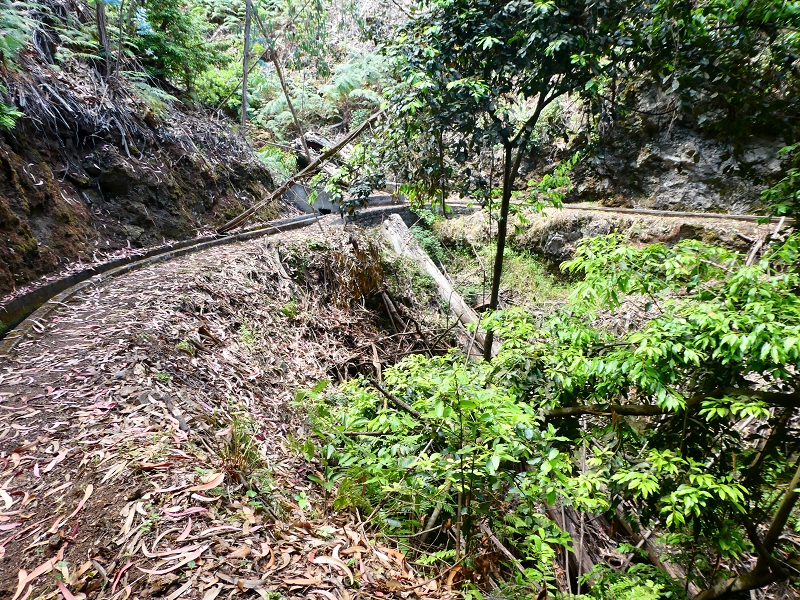 Levada Nova — Bacheinschnitte ins die Täler des Ribeiro Seco und der Ribeira do Lugarinho — Foto 7