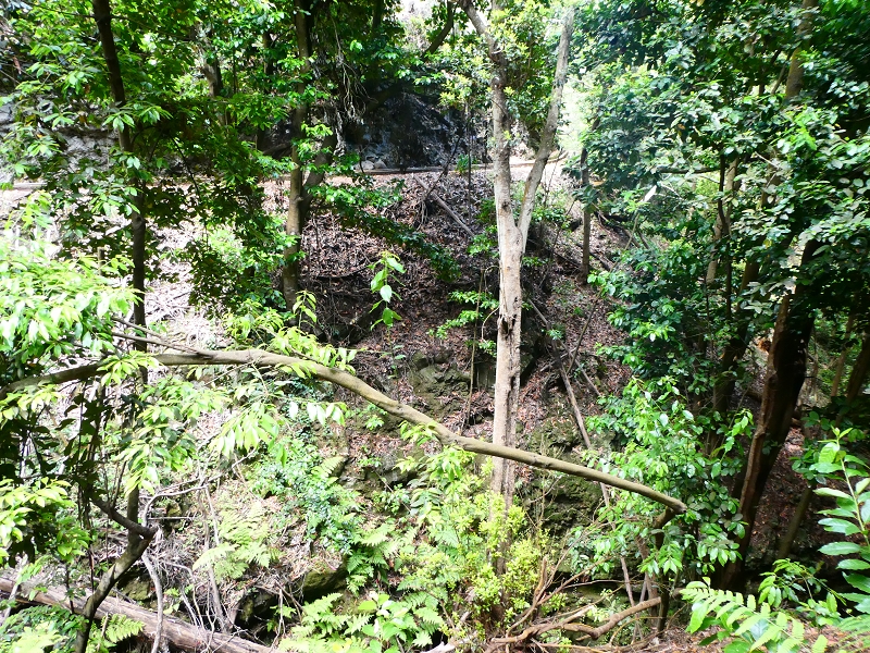Levada Nova — Bacheinschnitte ins die Täler des Ribeiro Seco und der Ribeira do Lugarinho — Foto 8