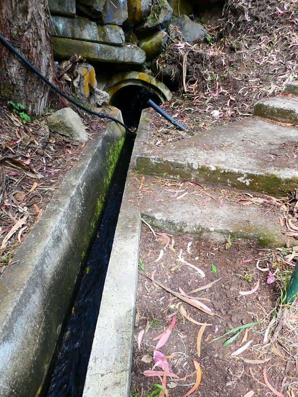 8 July 2018 Circular walk via the Levada do Moinho da Serra, Cascata Madre de Agua, Levada dos Tornos and Levada Nova de Santa Cruz — Through the ravines of the Ribeiro Seco and the Ribeira do Lugarinho to the Capela das Cardais — photo 13
