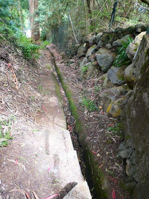 Levada Nova — Ende des Hauptastes bei der Capela das Cardais — Foto 4