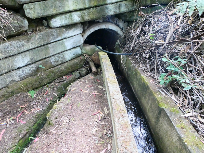 Levada Nova — Ende des Hauptastes bei der Capela das Cardais — Foto 5