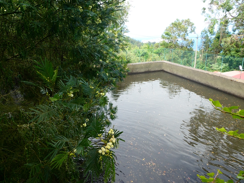Levada Nova — Ende des Hauptastes bei der Capela das Cardais — Foto 6