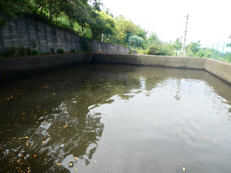 Levada Nova — Ende des Hauptastes bei der Capela das Cardais — Foto 8