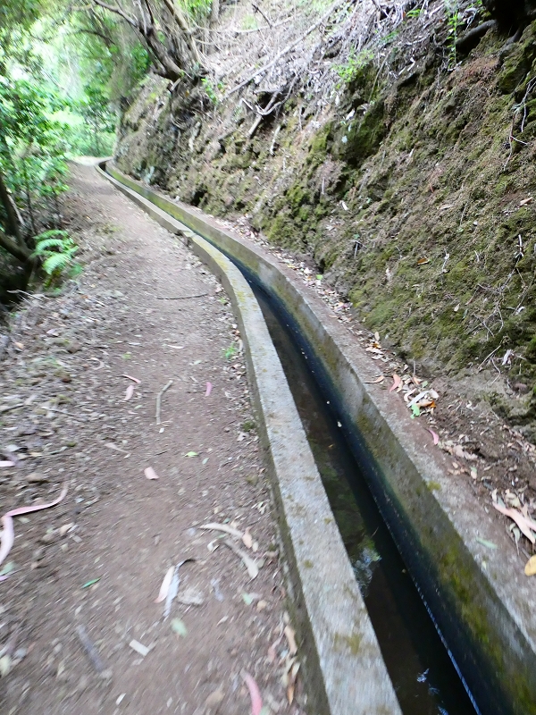 8 July 2018 Circular walk via the Levada do Moinho da Serra, Cascata Madre de Agua, Levada dos Tornos and Levada Nova de Santa Cruz — Through the ravines of the Ribeiro Seco and the Ribeira do Lugarinho to the Capela das Cardais — photo 24