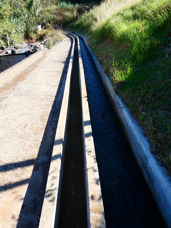 8 July 2018 Circular walk via the Levada do Moinho da Serra, Cascata Madre de Agua, Levada dos Tornos and Levada Nova de Santa Cruz — As far as the next watermill — photo 5