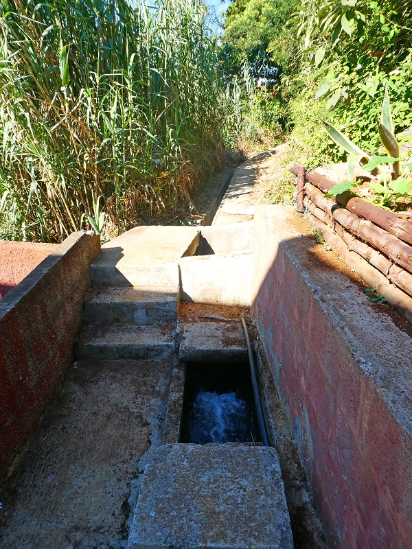 8 July 2018 Circular walk via the Levada do Moinho da Serra, Cascata Madre de Agua, Levada dos Tornos and Levada Nova de Santa Cruz — As far as the next watermill — photo 6