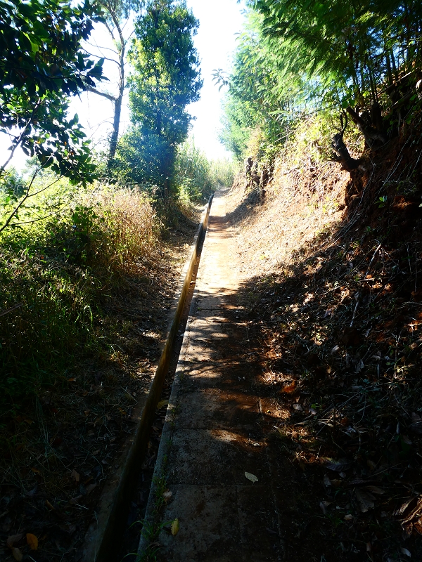 8 July 2018 Circular walk via the Levada do Moinho da Serra, Cascata Madre de Agua, Levada dos Tornos and Levada Nova de Santa Cruz — As far as the next watermill — photo 8