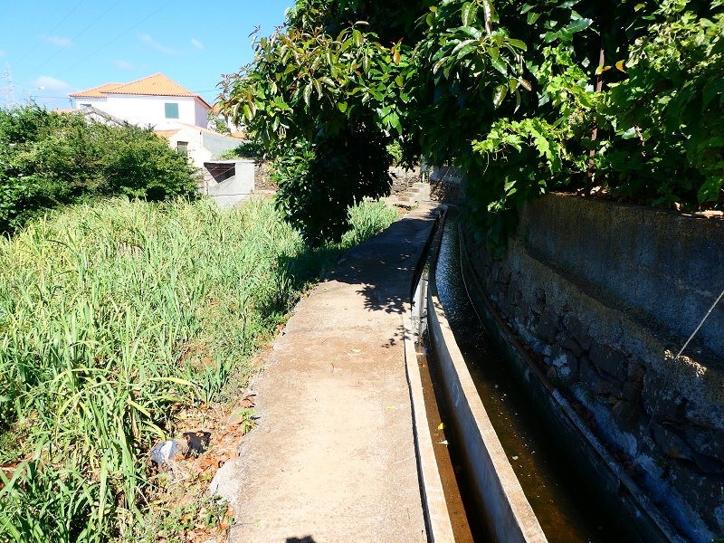 8 July 2018 Circular walk via the Levada do Moinho da Serra, Cascata Madre de Agua, Levada dos Tornos and Levada Nova de Santa Cruz — As far as the next watermill — photo 9