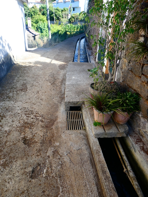 8 July 2018 Circular walk via the Levada do Moinho da Serra, Cascata Madre de Agua, Levada dos Tornos and Levada Nova de Santa Cruz — As far as the next watermill — photo 11