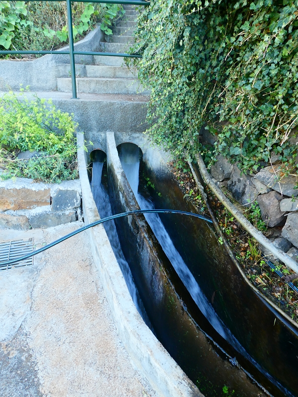 8 July 2018 Circular walk via the Levada do Moinho da Serra, Cascata Madre de Agua, Levada dos Tornos and Levada Nova de Santa Cruz — As far as the next watermill — photo 12