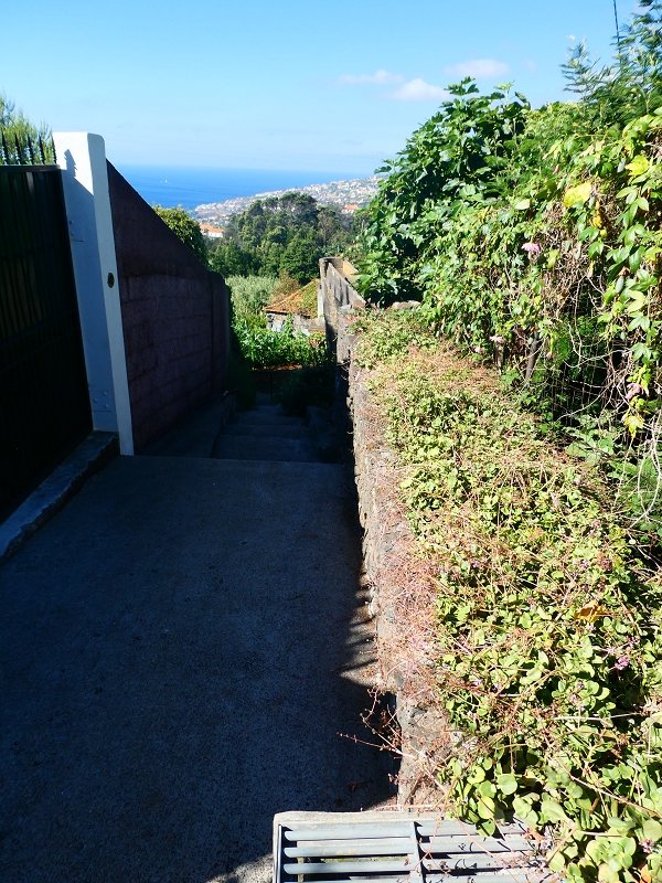 8 July 2018 Circular walk via the Levada do Moinho da Serra, Cascata Madre de Agua, Levada dos Tornos and Levada Nova de Santa Cruz — As far as the next watermill — photo 16