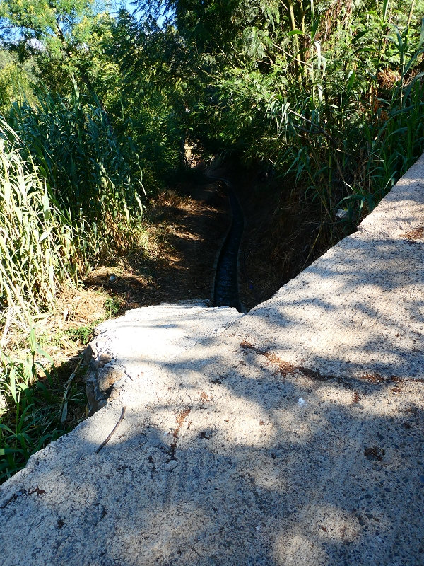 8 July 2018 Circular walk via the Levada do Moinho da Serra, Cascata Madre de Agua, Levada dos Tornos and Levada Nova de Santa Cruz — As far as the stream crossing of the Ribeira do Moreno — photo 1
