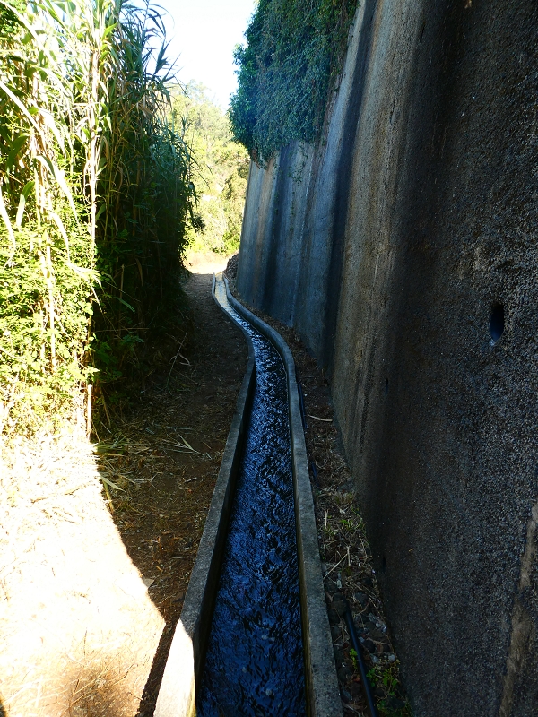 8 July 2018 Circular walk via the Levada do Moinho da Serra, Cascata Madre de Agua, Levada dos Tornos and Levada Nova de Santa Cruz — As far as the stream crossing of the Ribeira do Moreno — photo 2