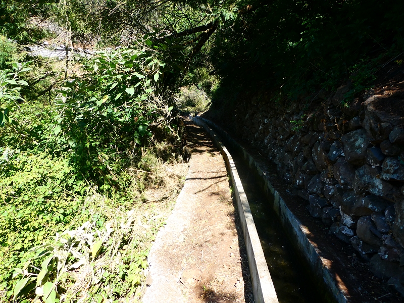8 July 2018 Circular walk via the Levada do Moinho da Serra, Cascata Madre de Agua, Levada dos Tornos and Levada Nova de Santa Cruz — As far as the stream crossing of the Ribeira do Moreno — photo 4