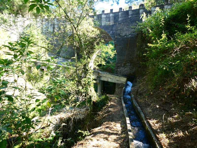 8 July 2018 Circular walk via the Levada do Moinho da Serra, Cascata Madre de Agua, Levada dos Tornos and Levada Nova de Santa Cruz — As far as the stream crossing of the Ribeira do Moreno — photo 5