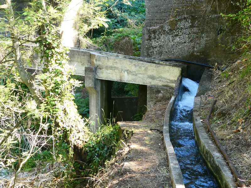 8 July 2018 Circular walk via the Levada do Moinho da Serra, Cascata Madre de Agua, Levada dos Tornos and Levada Nova de Santa Cruz — As far as the stream crossing of the Ribeira do Moreno — photo 6